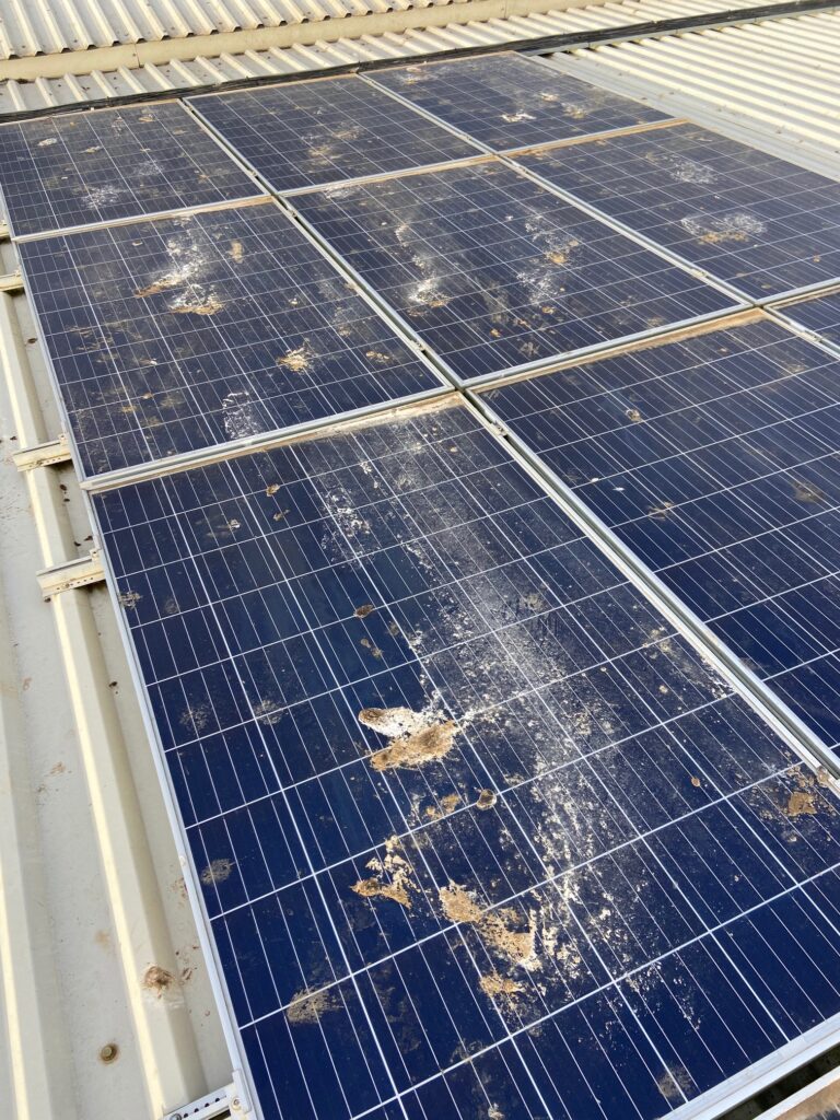 Bird droppings on solar panels